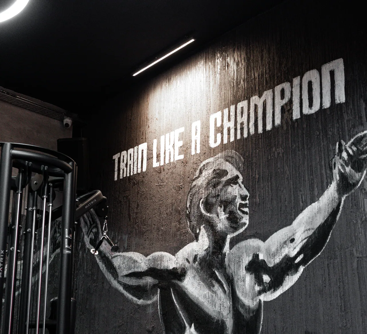 acarkent the champ train like a champion Acarkent The Champ Train Like a Champion duvar resmi